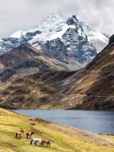 Laguna Surasaca